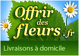 Boutique offrir des fleurs